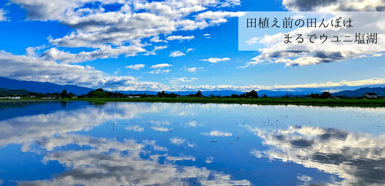 田植え前の田んぼはまるでウユニ塩湖