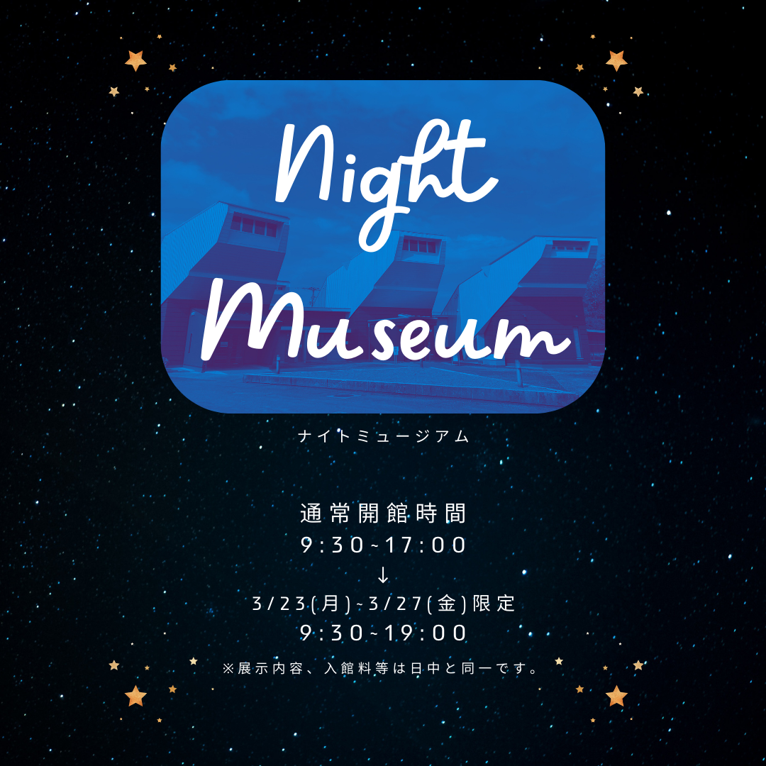 ナイトミュージアム